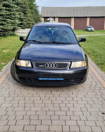 Audi Inny cena 10900 przebieg: 194425, rok produkcji 1999 z Ziębice małe 137